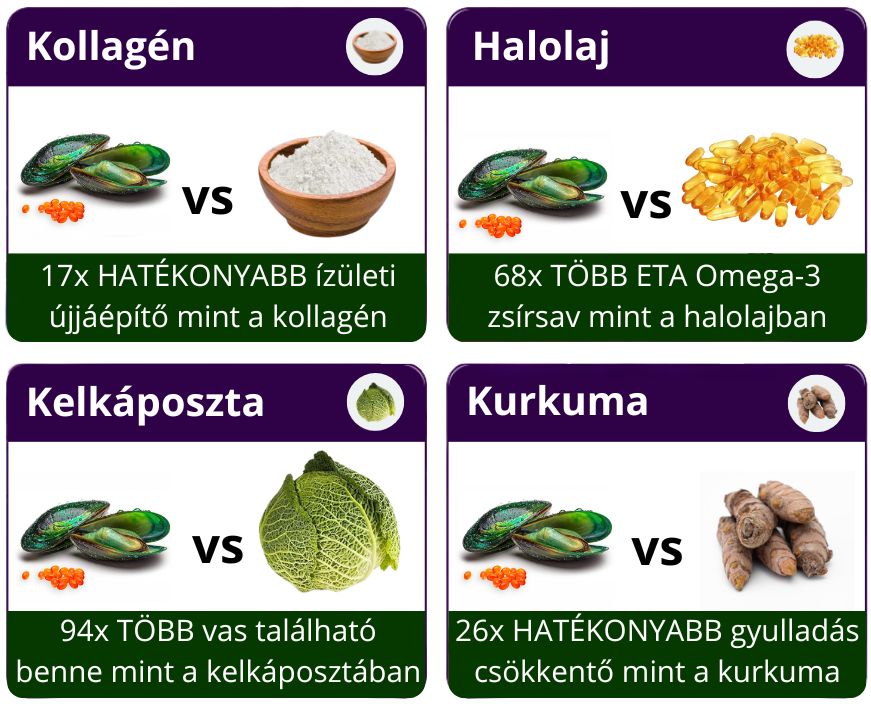 zöldkagyló olaj összehasonlítása kollagénnel halolajjal és kurkumával ízületi fájdalom esetén